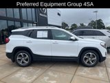 Used 2019 GMC Terrain SLT w/ Preferred Package image 2