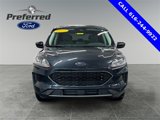 Used 2022 Ford Escape SE w/ Cold Weather Package image 4