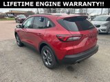 New 2025 Ford Escape ST-Line w/ Tech Pack #1 image 6