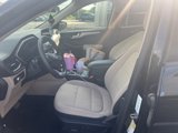 Used 2020 Ford Escape SE image 4