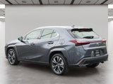 Used 2024 Lexus UX 250h AWD w/ Premium Package image 4