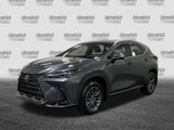 New 2025 Lexus NX 250 FWD w/ Premium Package image 3