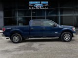 Used 2011 Ford F150 XLT w/ XLT Chrome Pkg image 6
