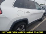 Used 2019 Jeep Cherokee Limited w/ Technology Group image 2