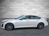 Used 2021 Cadillac CT5 Premium Luxury w/ Parking Package image 2
