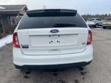 Used 2011 Ford Edge SEL w/ 201A Rapid Spec Order Code image 5