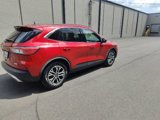 Used 2020 Ford Escape SEL image 3