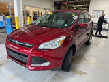 Used 2015 Ford Escape SE image 3