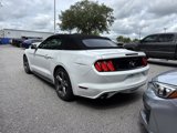 Used 2015 Ford Mustang Convertible w/ Equipment Group 051A image 4