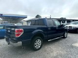 Used 2013 Ford F150 XLT w/ Luxury Equipment Group image 4