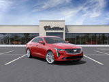 New 2025 Cadillac CT4 Premium Luxury image 2