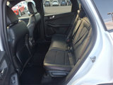 New 2025 Ford Escape ST-Line w/ Tech Pack #1 image 6