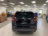 Used 2024 Honda CR-V Sport image 4