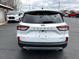 Used 2020 Ford Escape SE image 4