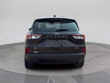 Used 2021 Ford Escape SE w/ SE Sport Appearance Package image 5