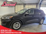 Used 2022 Ford Escape SE w/ Convenience Package image 4