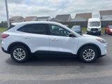 Used 2022 Ford Escape SE image 4