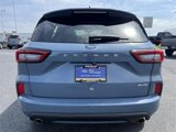 Certified 2024 Ford Escape ST-Line w/ Tech Pack #1 image 6