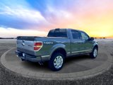 Used 2014 Ford F150 Platinum image 3