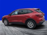 New 2025 Ford Escape Active image 5