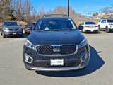 Used 2017 Kia Sorento EX w/ EX Advanced Touring Package image 2
