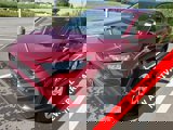 View Video