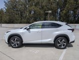 Used 2021 Lexus NX 300h AWD w/ Premium Package image 4