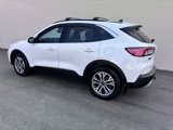 Used 2022 Ford Escape SEL image 3