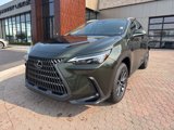 New 2025 Lexus NX 250 FWD w/ Accessory Package (2T) image 2