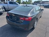Certified 2024 Chevrolet Malibu LT image 3