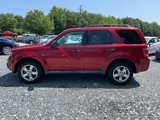 Used 2011 Ford Escape XLT w/ 202A Rapid Spec Order Code image 2