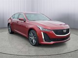 Used 2023 Cadillac CT5 Luxury w/ Sun And Sound Package image 2