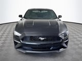 Used 2019 Ford Mustang Coupe w/ Ecoboost Performance Package image 2