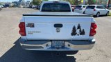 Used 2005 Dodge Dakota SLT image 4