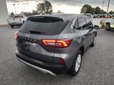 Used 2024 Ford Escape Active w/ Tech Pack #1 image 3