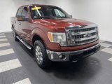 Used 2014 Ford F150 XLT image 5