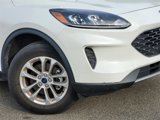 Used 2022 Ford Escape SE w/ Convenience Package image 3