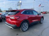 Certified 2020 Ford Escape Titanium image 5