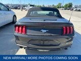 Used 2022 Ford Mustang Premium image 3
