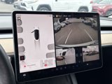 Used 2022 Tesla Model 3 Standard Range image 6