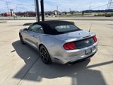 Used 2021 Ford Mustang Premium image 5