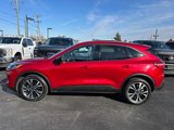 Used 2022 Ford Escape SE w/ SE Sport Appearance Package image 4