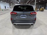 Used 2023 Ford Escape Platinum image 5