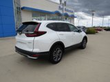 Used 2022 Honda CR-V EX-L image 5