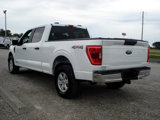 Used 2022 Ford F150 XL w/ Equipment Group 101A High image 6