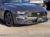 Certified 2022 Ford Mustang Premium image 3