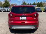 Used 2019 Ford Escape Titanium image 6