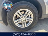 Used 2023 Ford Explorer XLT w/ Class IV Trailer Tow Package image 2