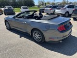 Used 2019 Ford Mustang Premium w/ Equipment Group 201A image 5