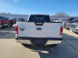 Used 2015 Ford F150 XLT w/ Equipment Group 302A Luxury image 4